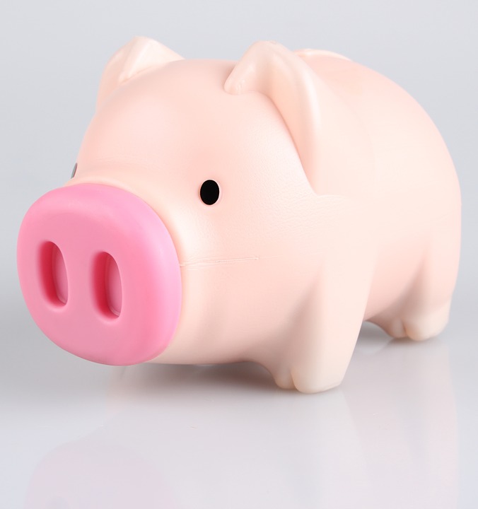 pig toy, happy pig, save money image